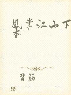 凤掌江山下载全本封面