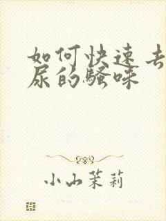 如何快速去除猫尿的骚味封面