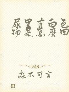 尿里有白色絮状物是怎么回事封面