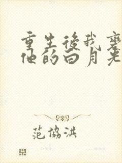 重生后我变成了他的白月光