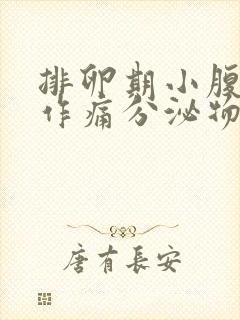 排卵期小腹隐隐作痛分泌物增多封面