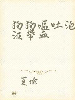 狗狗呕吐泡沫粘液带血