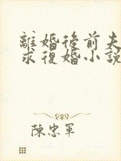 离婚后前夫哭着求复婚小说