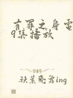 有罪之身电视剧9集播放封面