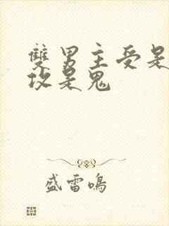 双男主受是人,攻是鬼