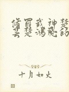 修罗武神楚风楚芸楚鸿飞的小说封面