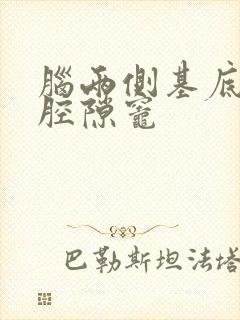 脑两侧基底节区腔隙灶