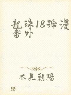 龙珠18号漫画番外封面