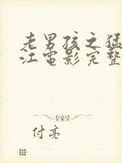 老男孩之猛龙过江电影完整观看