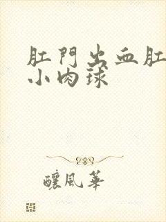 肛门出血肛门有小肉球