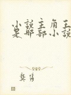 小说主角王斌 是哪部小说封面