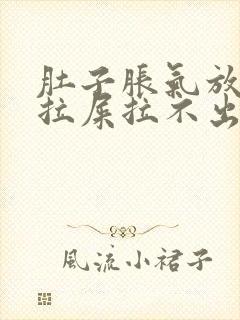 肚子胀气放屁想拉屎拉不出来怎么回事封面