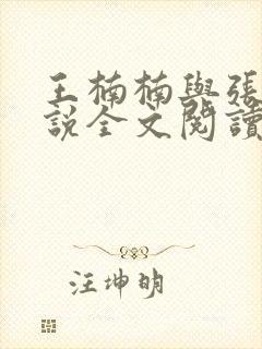 王楠楠与张浩小说全文阅读