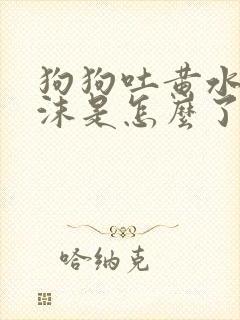 狗狗吐黄水带泡沫是怎么了