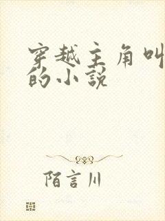 穿越主角叫林枫的小说封面