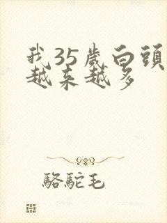 我35岁白头发越来越多封面