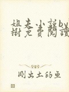 姐夫小说by野树免费阅读全文封面