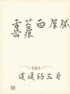 舌苔白厚腻 有齿痕