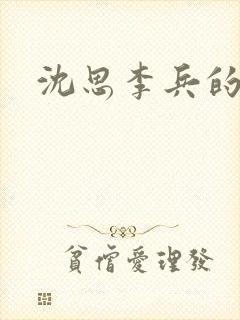 沈思李兵的小说