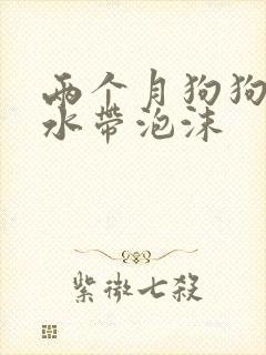 两个月狗狗吐黄水带泡沫