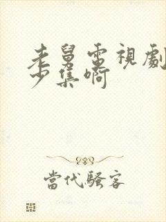 老舅电视剧共多少集啊