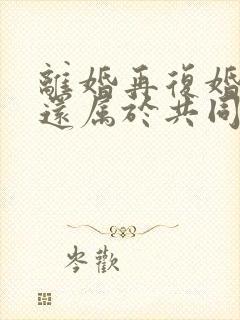 离婚再复婚财产还属于共同的吗