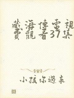 藏海传电视剧免费观看37集剧情封面