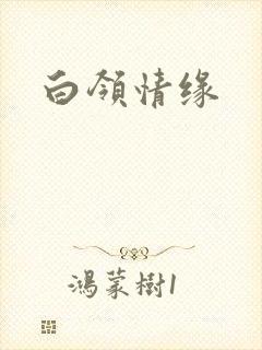 白领情缘