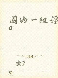 国内一级淫片aa