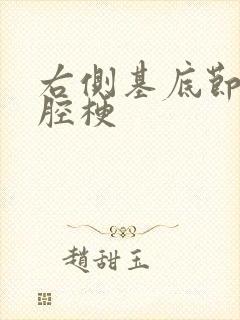 右侧基底节区脑腔梗