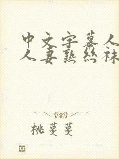 中文字幕人妻熟人妻熟丝袜美