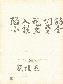 陷入我们的热恋小说免费全文阅读封面