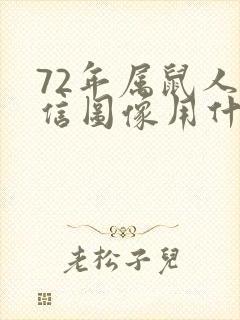 72年属鼠人微信图像用什么好