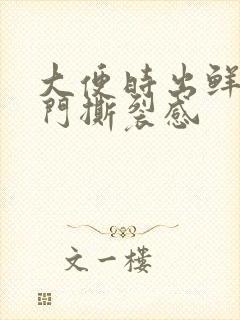 大便时出鲜血肛门撕裂感