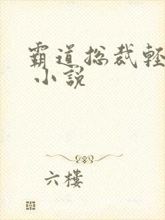 霸道总裁轻轻爱 小说