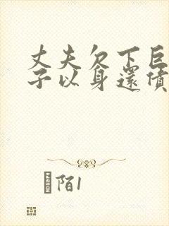 丈夫欠下巨债妻子以身还债电影封面