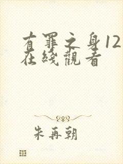 有罪之身12集在线观看