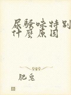 尿骚味特别重是什么原因