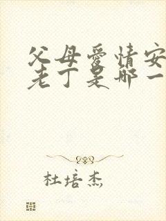 父母爱情安杰骂老丁是哪一集