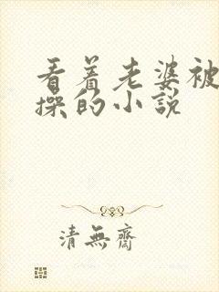 看着老婆被别人操的小说