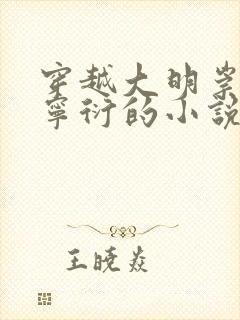 穿越大明崇祯朱宁衍的小说