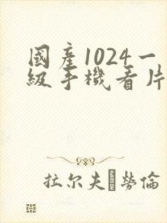 国产1024一级手机看片