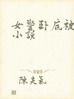 女警卧底被洗脑小说