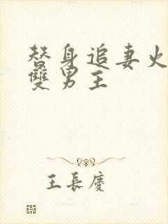 替身追妻火葬场双男主封面