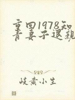 重回1978知青妻子退亲小说叫什么封面
