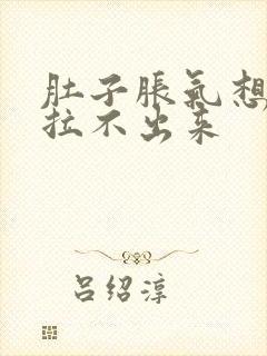 肚子胀气想拉屎拉不出来