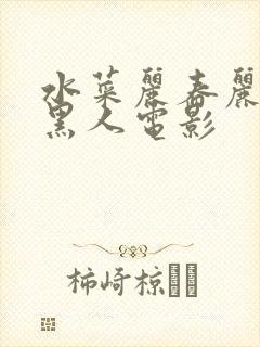 水菜丽春丽大战黑人电影