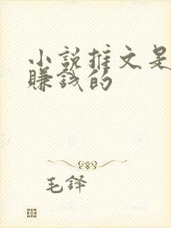 小说推文是怎么赚钱的