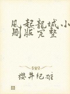 风起龙城小说未删版完整封面