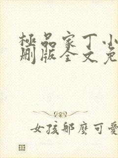 极品家丁小说未删版全文免费阅读封面